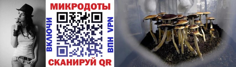 blacksprut онион  Калуга  Галлюциногенные грибы Psilocybe 
