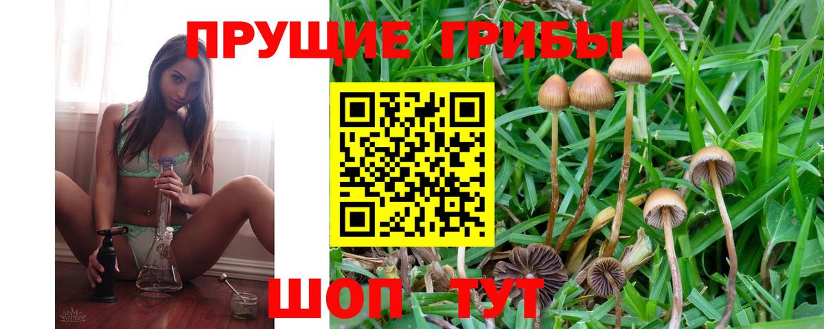 Галлюциногенные грибы MAGIC MUSHROOMS  наркошоп  Псилоцибиновые грибы MAGIC MUSHROOMS  Калуга  Вход с VPN 