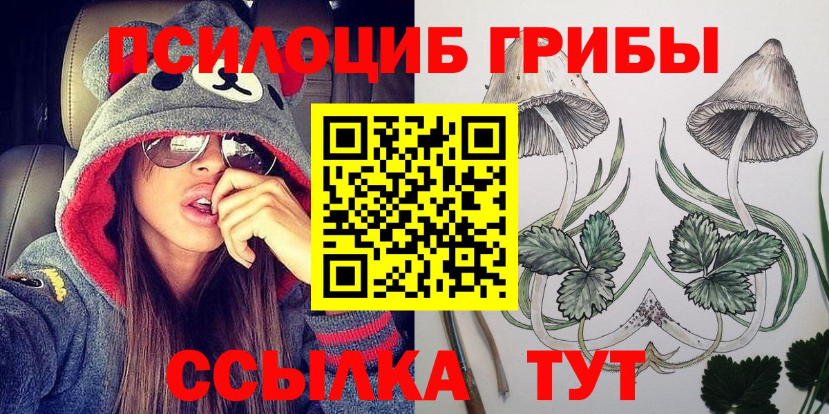 Галлюциногенные грибы прущие грибы Калуга